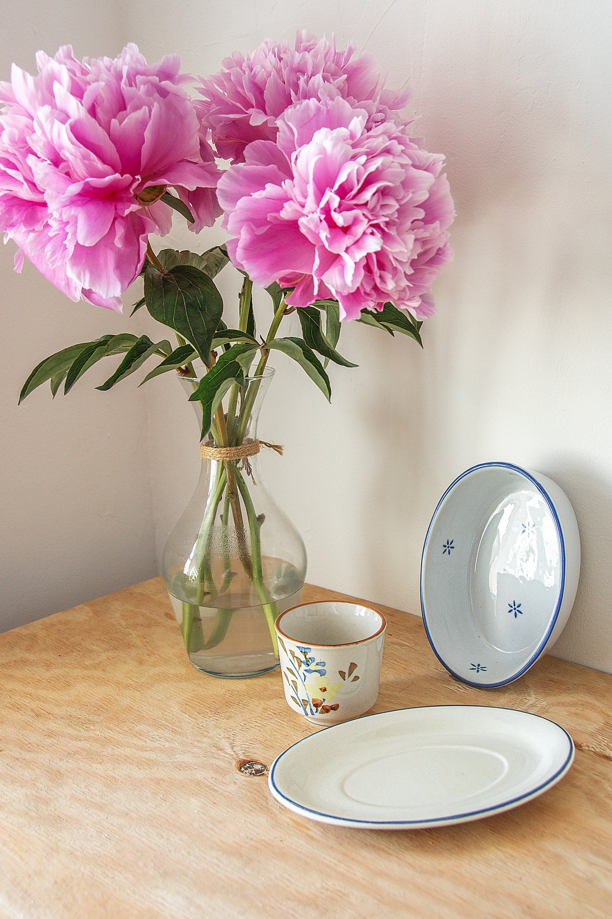 Chinese Hand-painted Cup
