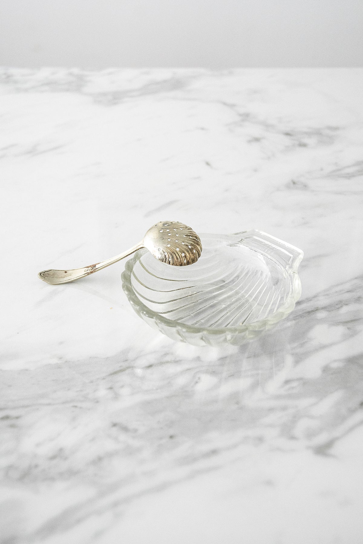 French Glass Shell