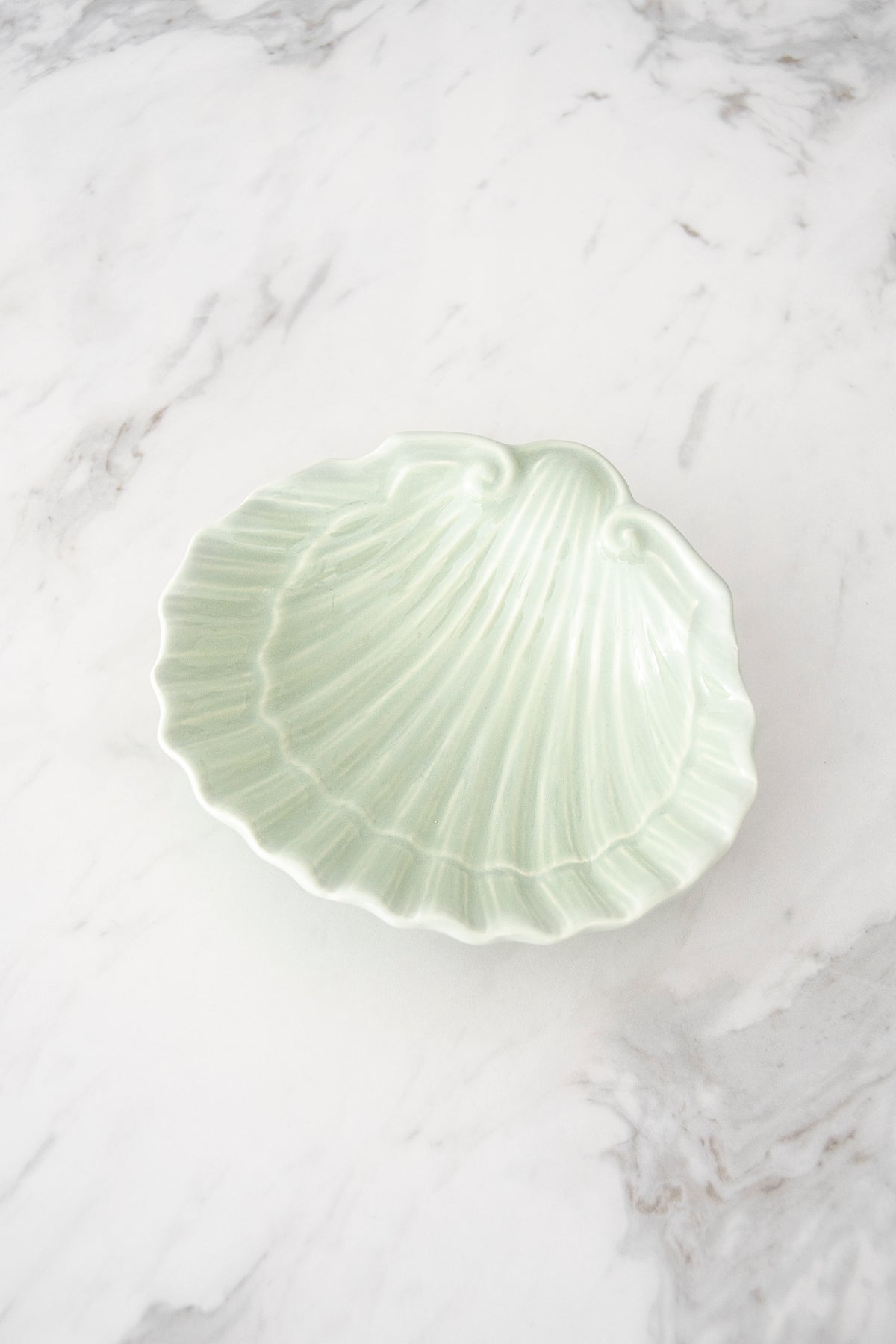 Scallop Shell Bowl