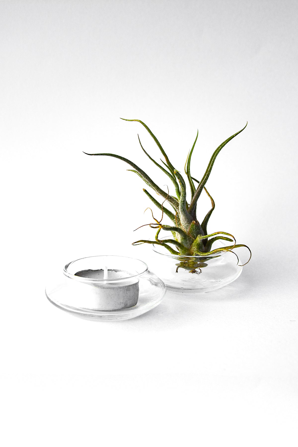 Tealight Candle Holders