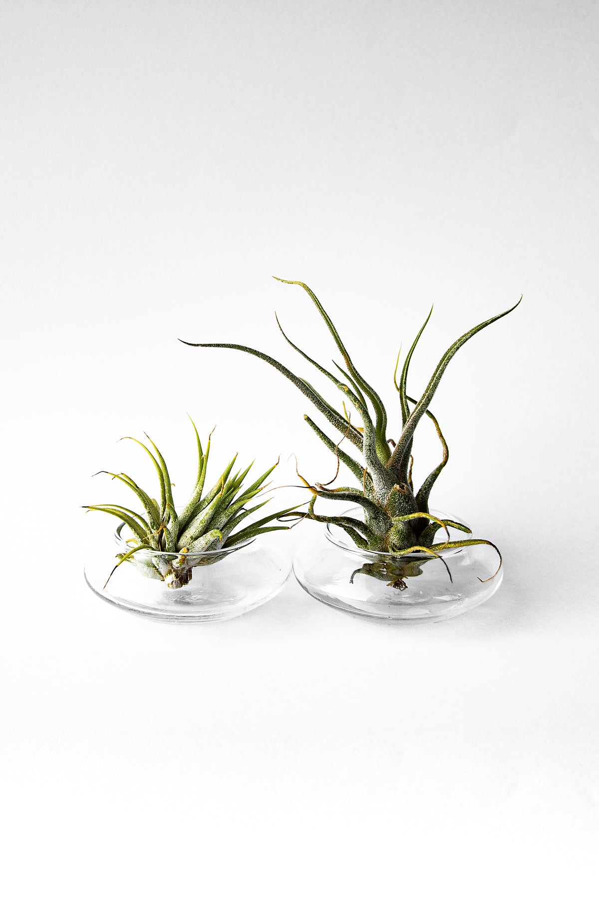 Tealight Candle Holders