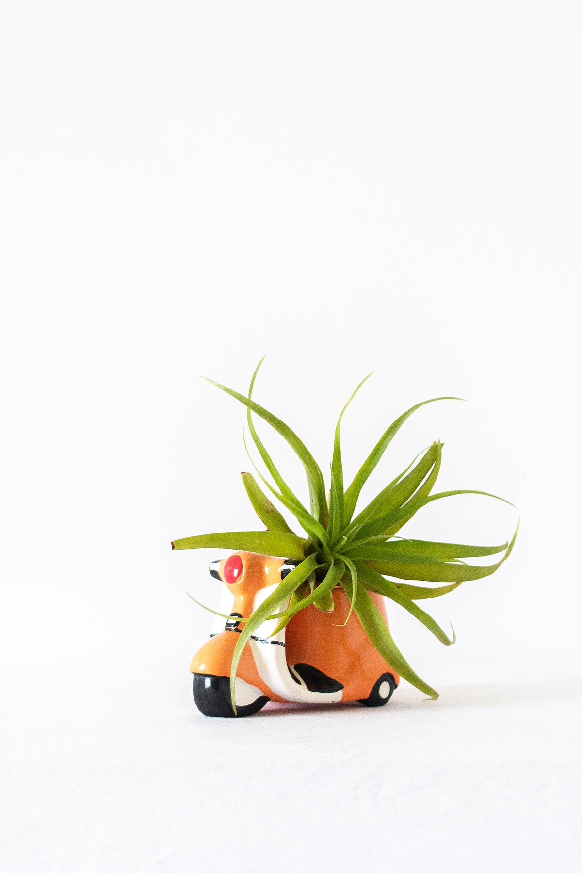 Vespa Planter