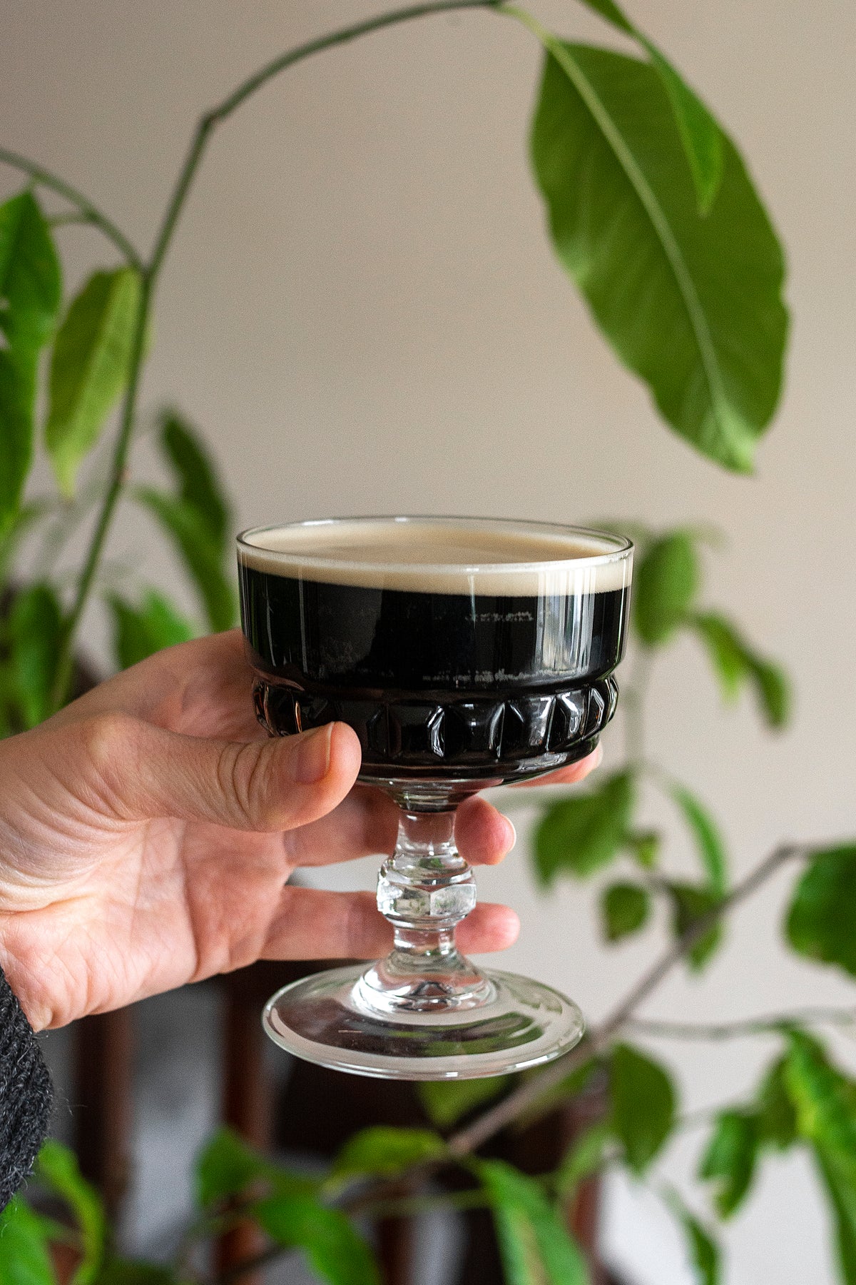 French Wine Coupe