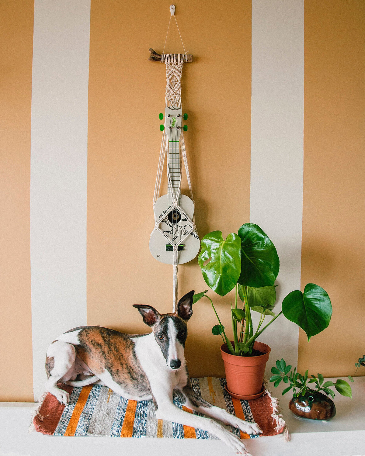 Modern ukulele hanger